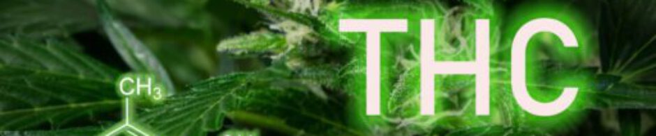 Cannabismedizin und das neue GKV-BStabG